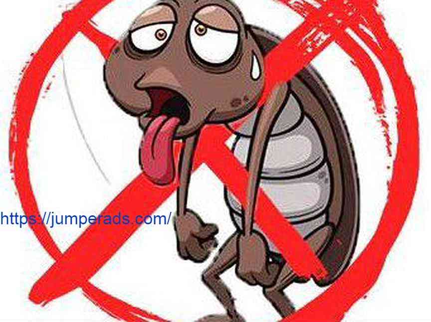 شركة مكافحة حشرات بالطائف