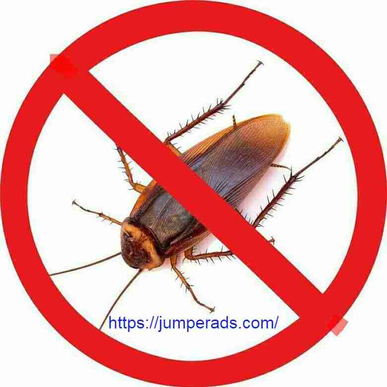 شركة مكافحة حشرات بالطائف