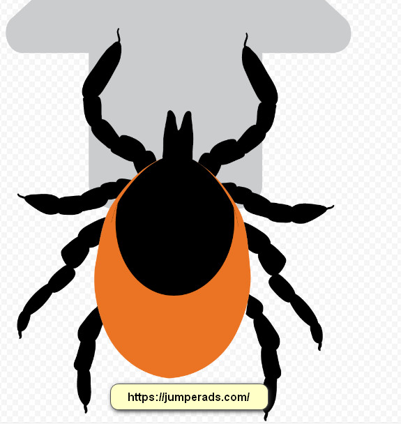 شركة مكافحة بق الفراش بالرياض