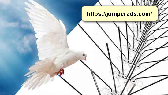 شركة تركيب طارد حمام بالخرج