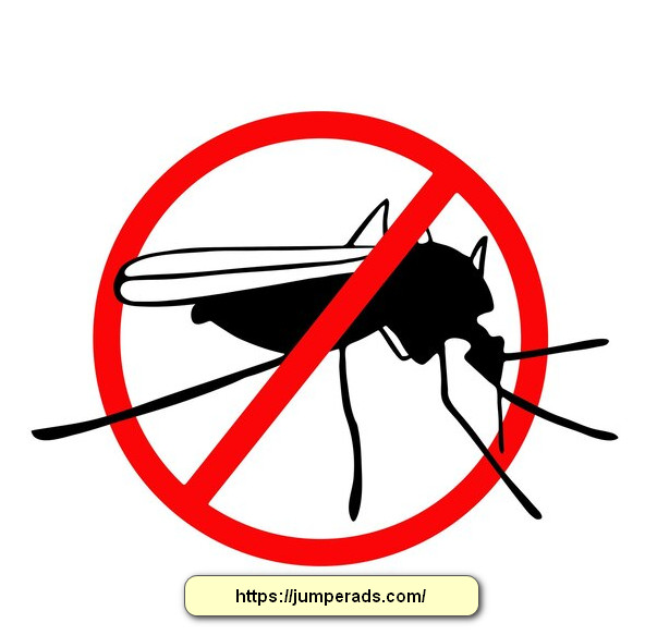 شركة مكافحة حشرات بالرياض