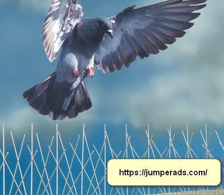 شركة تركيب طارد حمام بالمدينة المنورة