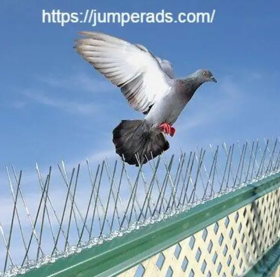 تركيب مانع حمام بالرياض