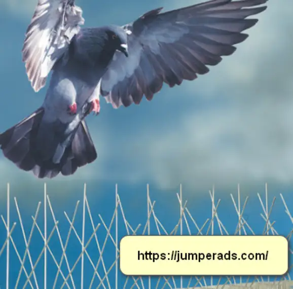 تركيب مانع حمام بالرياض