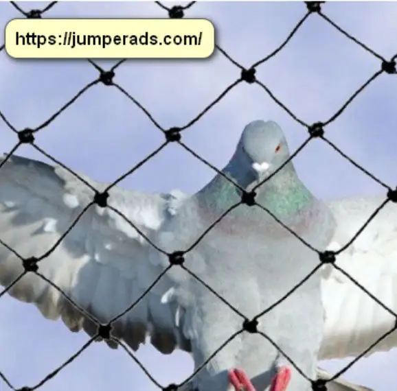 شركة تركيب طارد حمام بالرياض